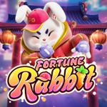 Fortune Rabbit